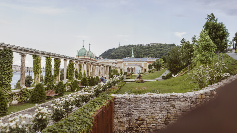 A Várkert Bazár rózsája